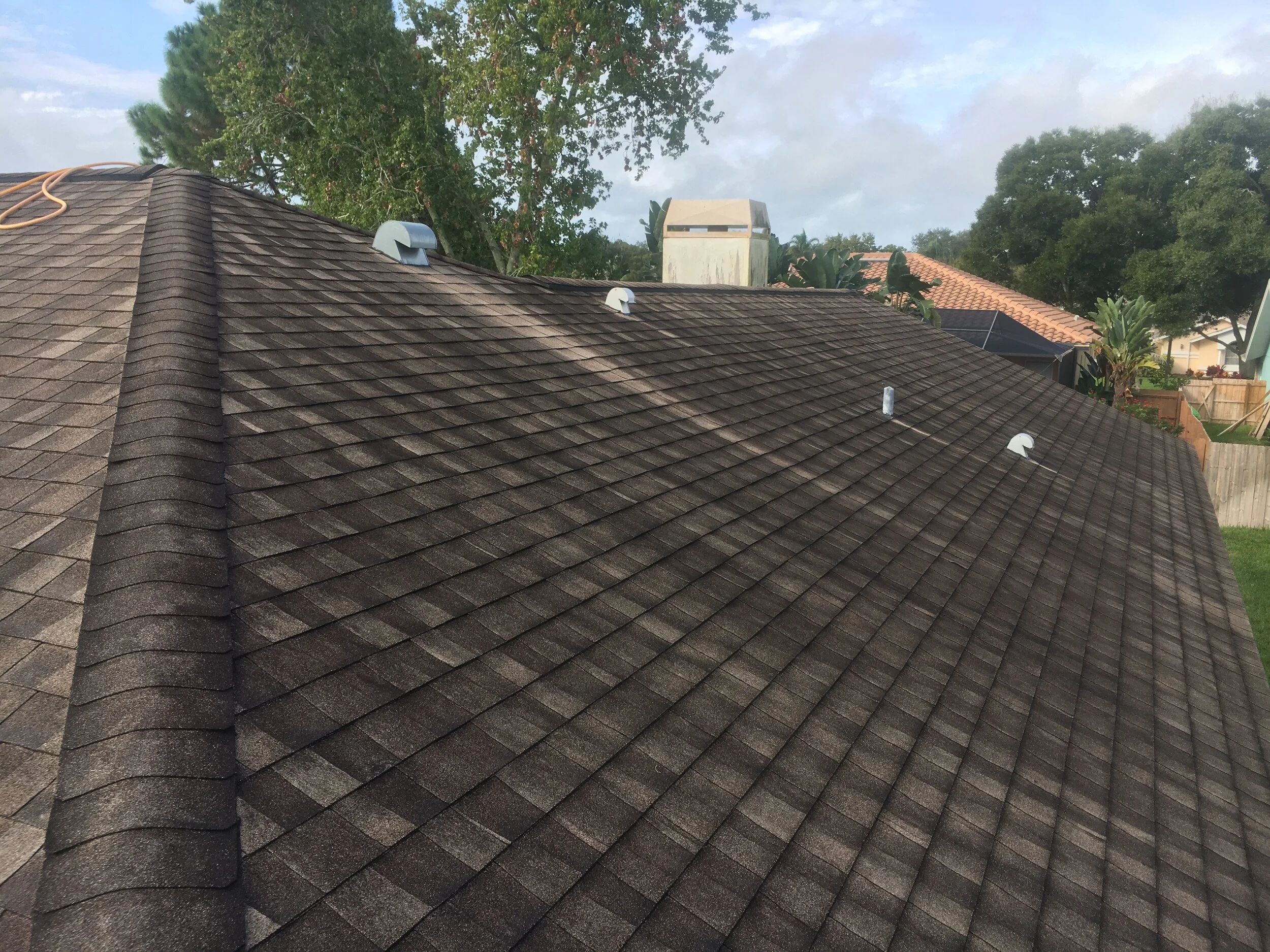 Shingle roof in Clearwater darkened by algae streaks before cleaning