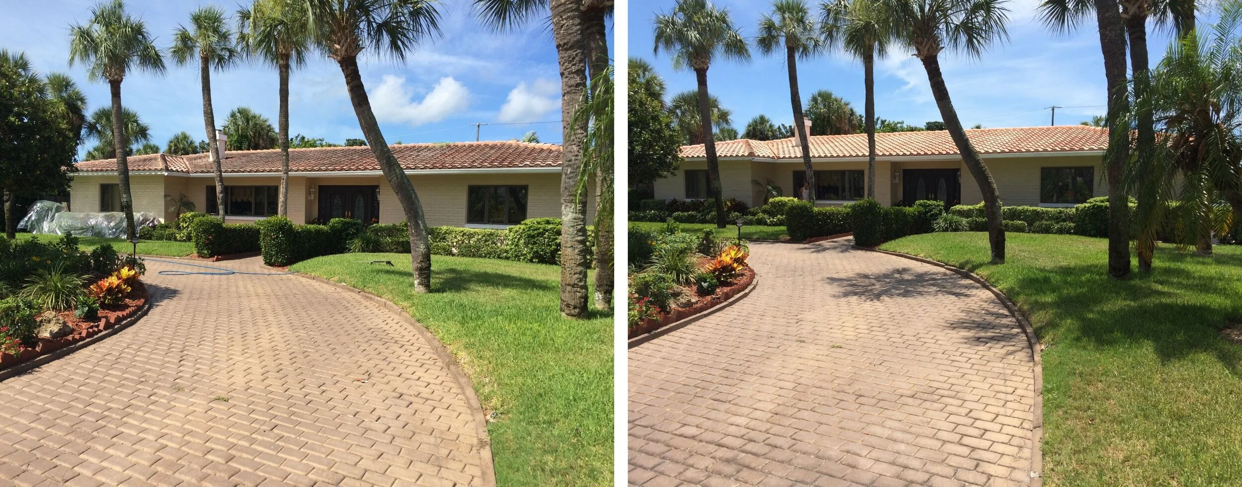 Shingle roof in Largo, Florida during a low-pressure roof washing